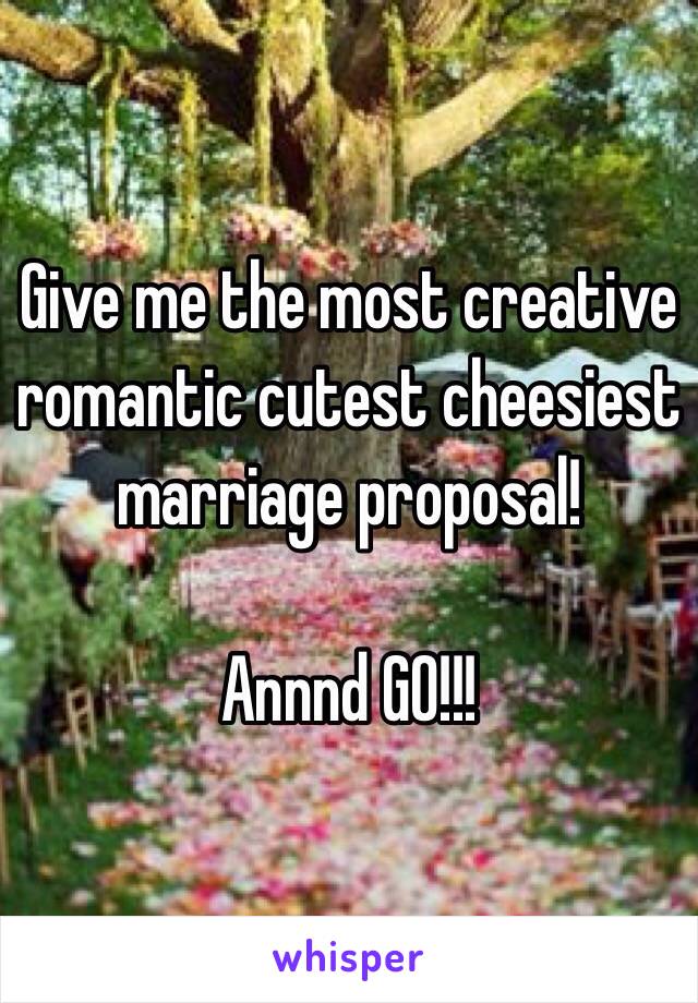 Give me the most creative romantic cutest cheesiest marriage proposal!

Annnd GO!!!