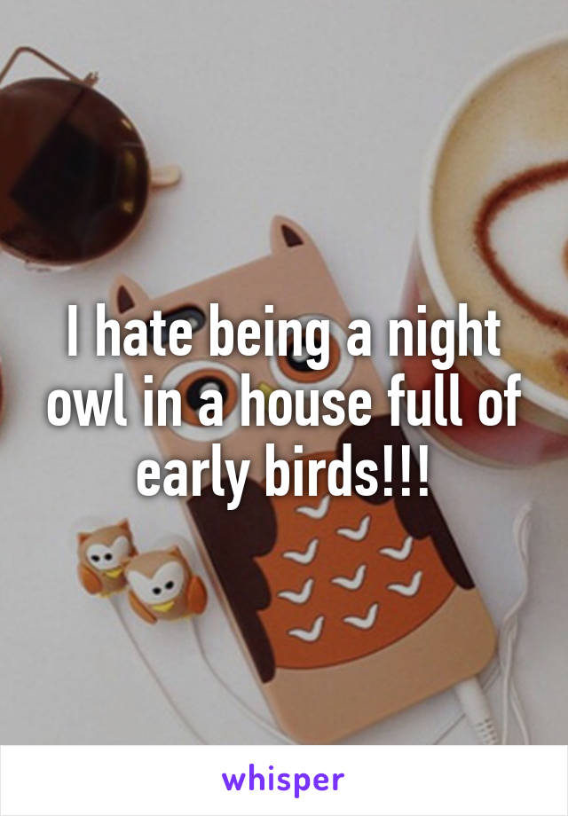 I hate being a night owl in a house full of early birds!!!