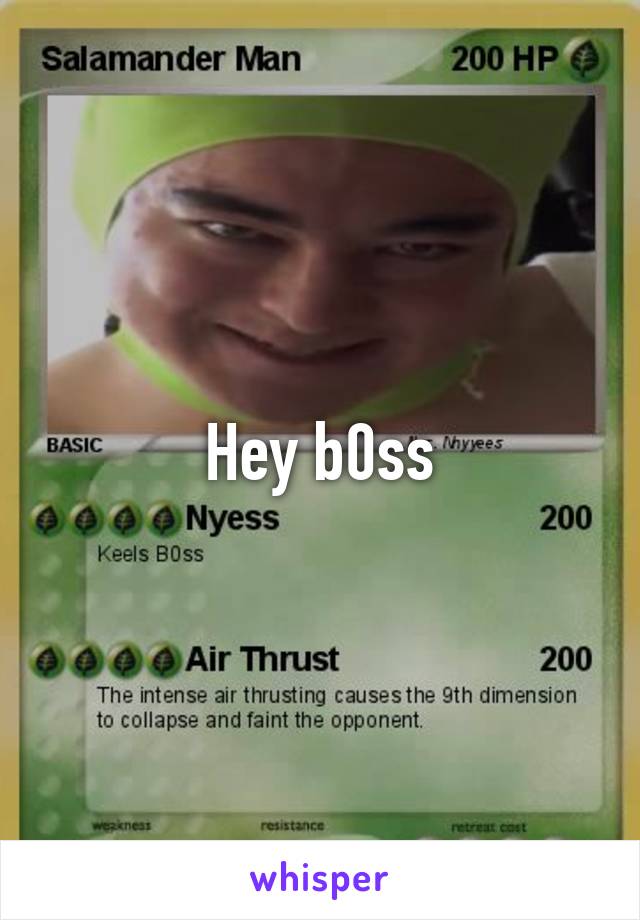 Hey b0ss