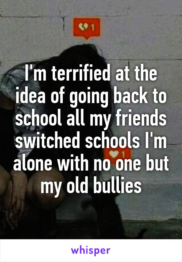 I'm terrified at the idea of going back to school all my friends switched schools I'm alone with no one but my old bullies