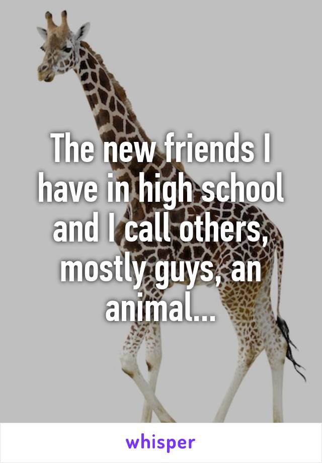 The new friends I have in high school and I call others, mostly guys, an animal...