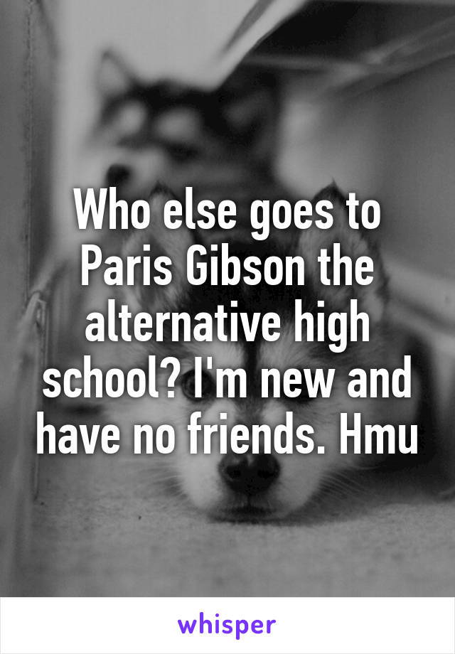 Who else goes to Paris Gibson the alternative high school? I'm new and have no friends. Hmu