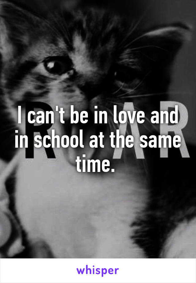 I can't be in love and in school at the same time. 