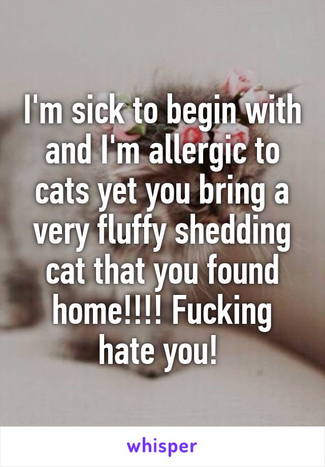 I'm sick to begin with and I'm allergic to cats yet you bring a very fluffy shedding cat that you found home!!!! Fucking hate you! 