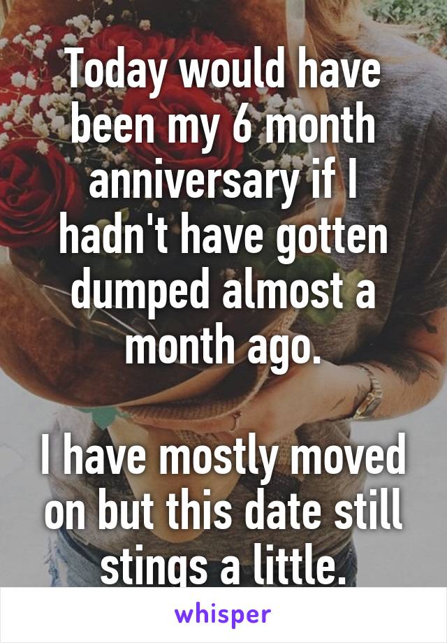 Today would have been my 6 month anniversary if I hadn't have gotten dumped almost a month ago.

I have mostly moved on but this date still stings a little.