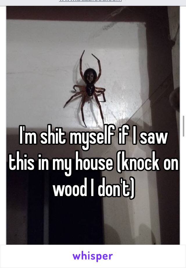 I'm shit myself if I saw this in my house (knock on wood I don't)
