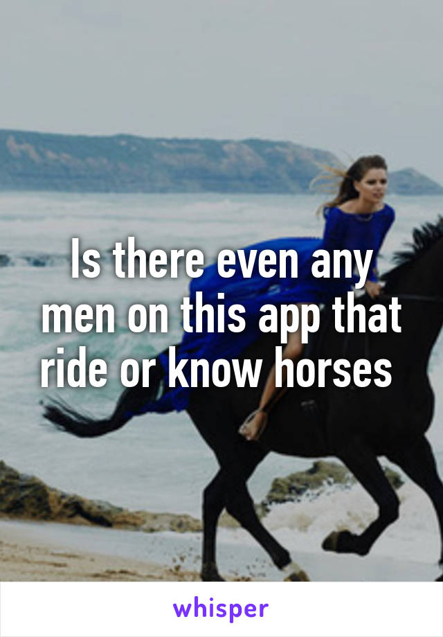 Is there even any men on this app that ride or know horses 