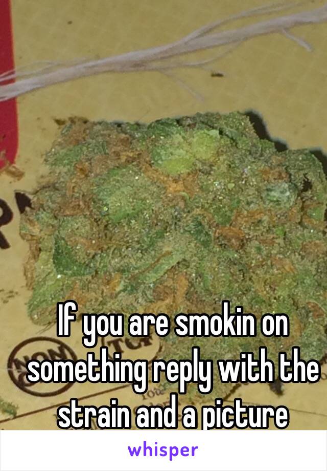 If you are smokin on something reply with the strain and a picture 