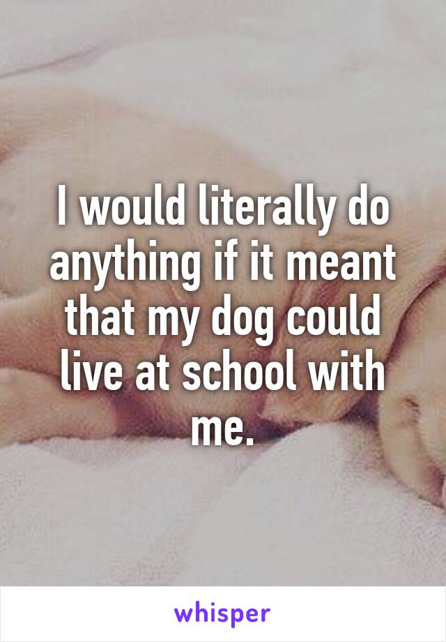 I would literally do anything if it meant that my dog could live at school with me.