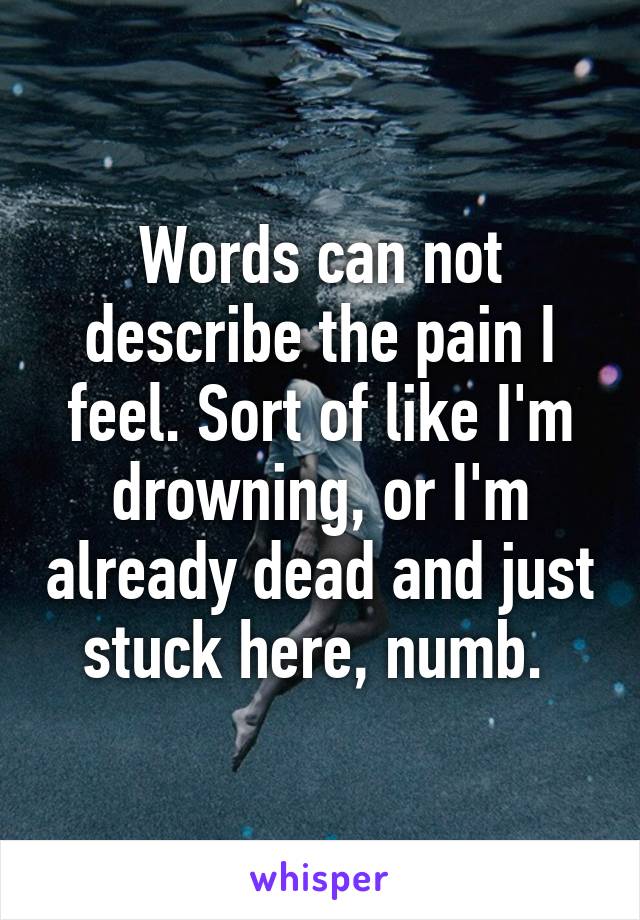 Words can not describe the pain I feel. Sort of like I'm drowning, or I'm already dead and just stuck here, numb. 