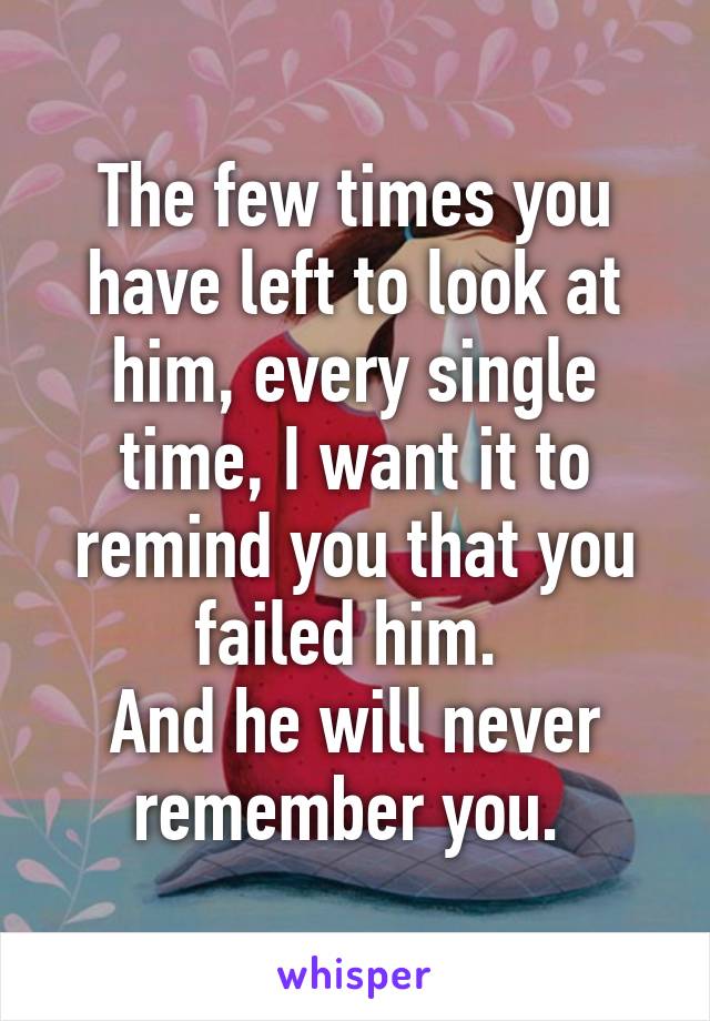 The few times you have left to look at him, every single time, I want it to remind you that you failed him. 
And he will never remember you. 