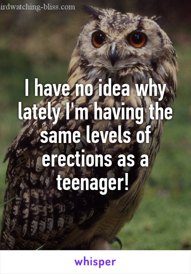 I have no idea why lately I'm having the same levels of erections as a teenager! 