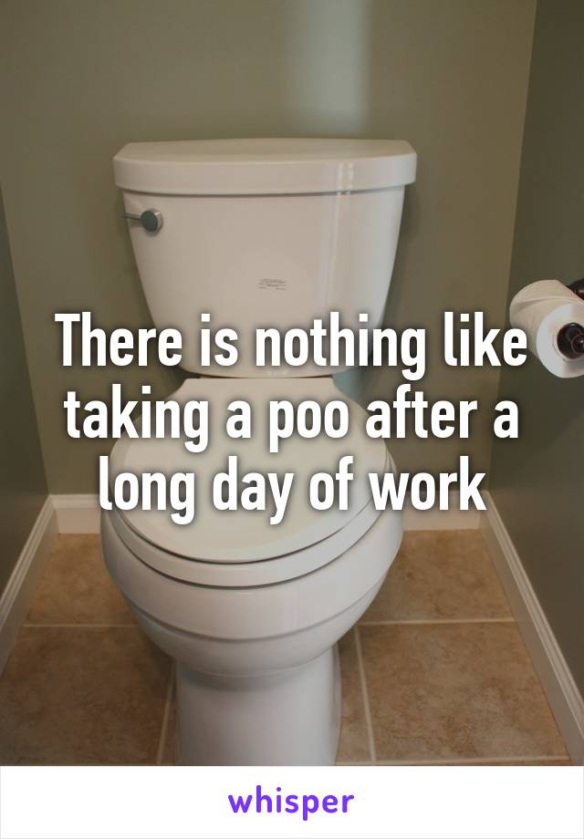 There is nothing like taking a poo after a long day of work