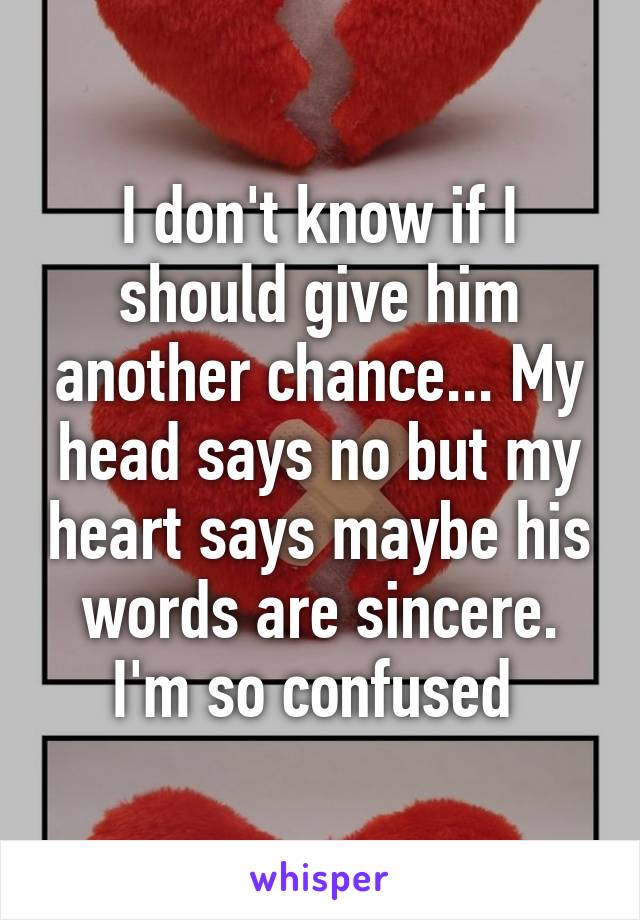 I don't know if I should give him another chance... My head says no but my heart says maybe his words are sincere. I'm so confused 