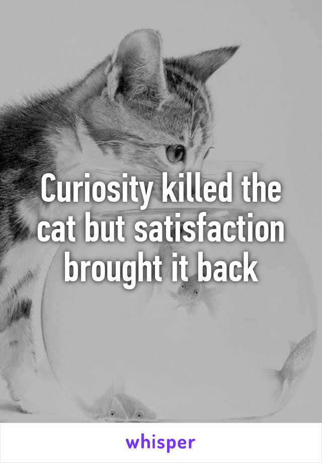 Curiosity killed the cat but satisfaction brought it back