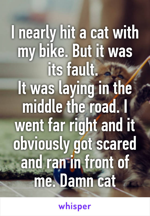 I nearly hit a cat with my bike. But it was its fault. 
It was laying in the middle the road. I went far right and it obviously got scared and ran in front of me. Damn cat