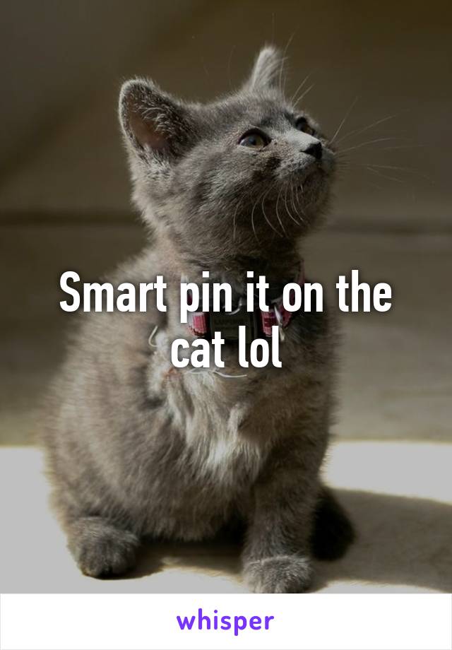 Smart pin it on the cat lol