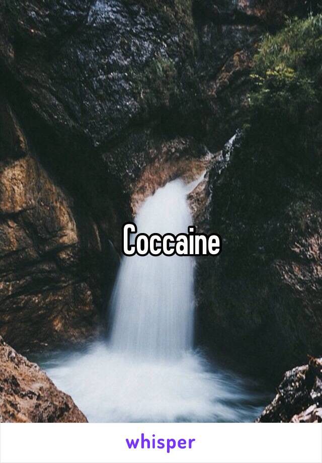 Coccaine 