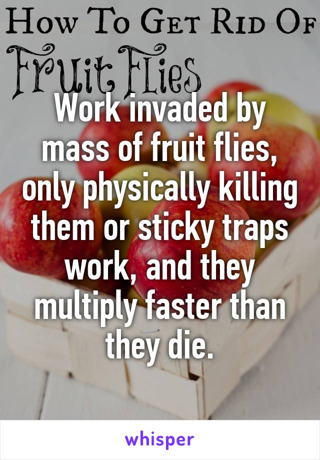 Work invaded by mass of fruit flies, only physically killing them or sticky traps work, and they multiply faster than they die.