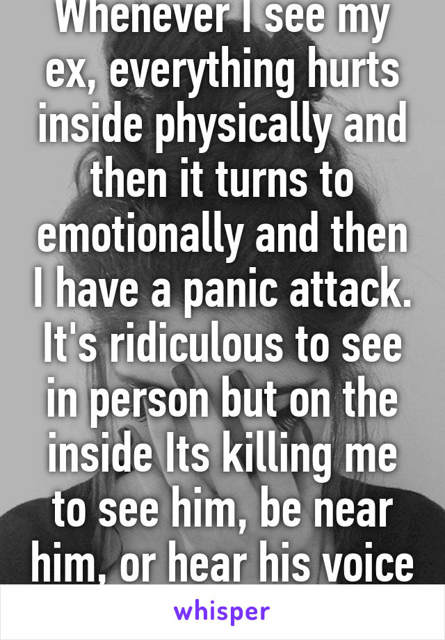 Whenever I see my ex, everything hurts inside physically and then it turns to emotionally and then I have a panic attack. It's ridiculous to see in person but on the inside Its killing me to see him, be near him, or hear his voice again.