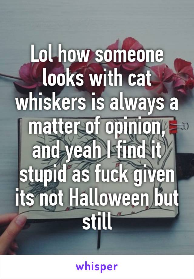 Lol how someone looks with cat whiskers is always a matter of opinion, and yeah I find it stupid as fuck given its not Halloween but still