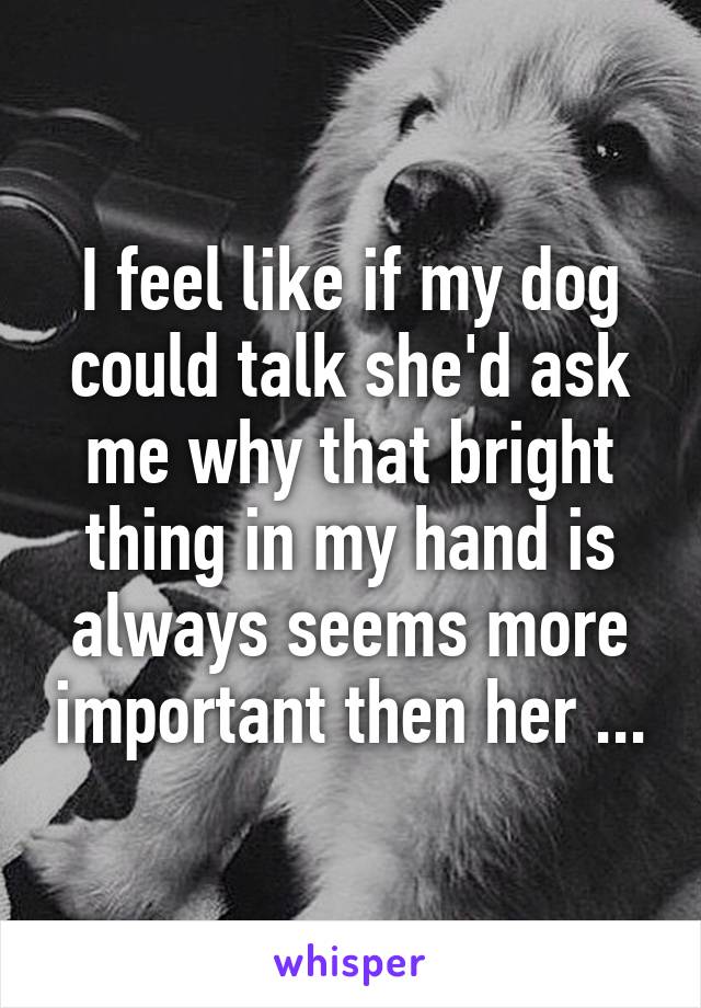 I feel like if my dog could talk she'd ask me why that bright thing in my hand is always seems more important then her ...