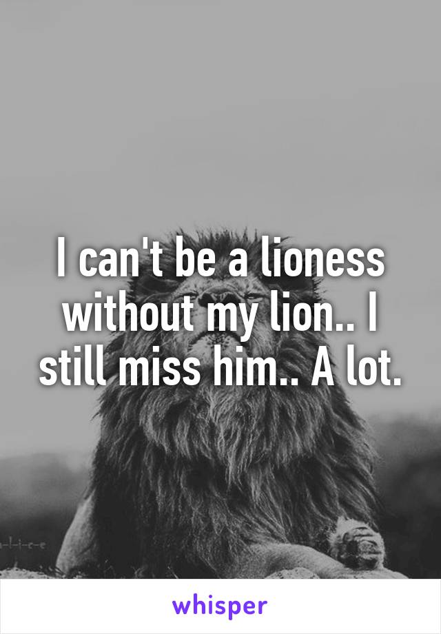 I can't be a lioness without my lion.. I still miss him.. A lot.