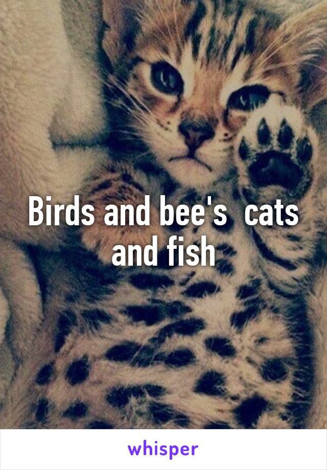 Birds and bee's  cats and fish