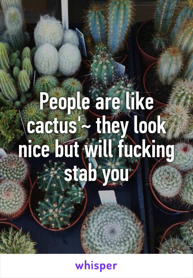 People are like cactus'~ they look nice but will fucking stab you