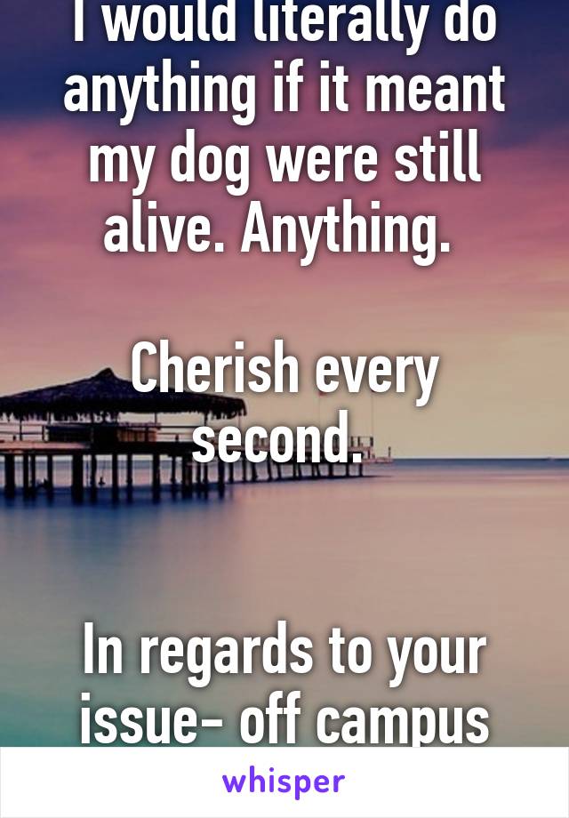 I would literally do anything if it meant my dog were still alive. Anything. 

Cherish every second. 


In regards to your issue- off campus housing?