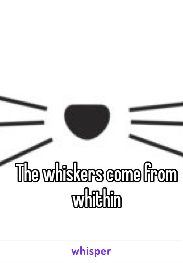 The whiskers come from whithin 