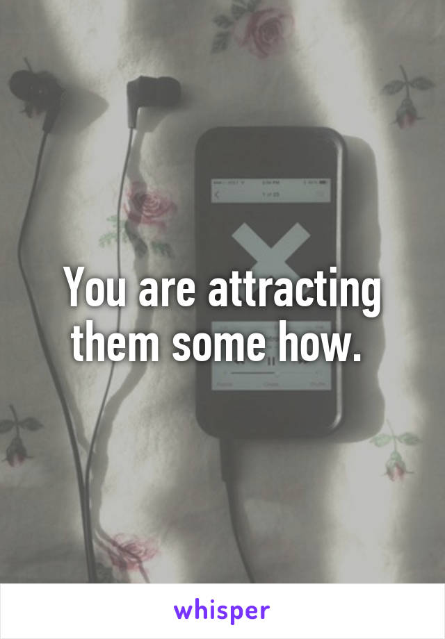 You are attracting them some how. 