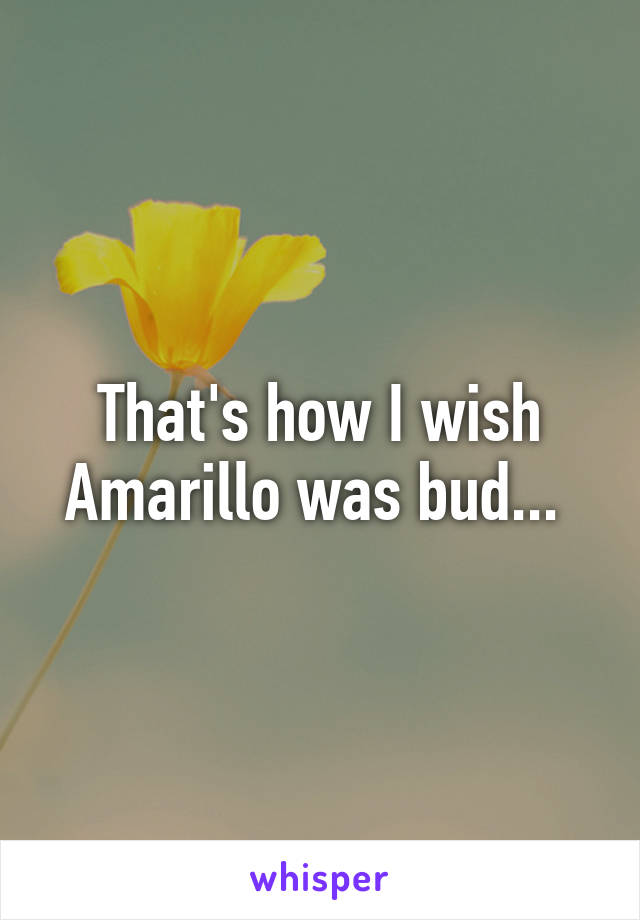 That's how I wish Amarillo was bud... 