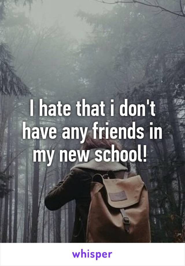 I hate that i don't have any friends in my new school! 