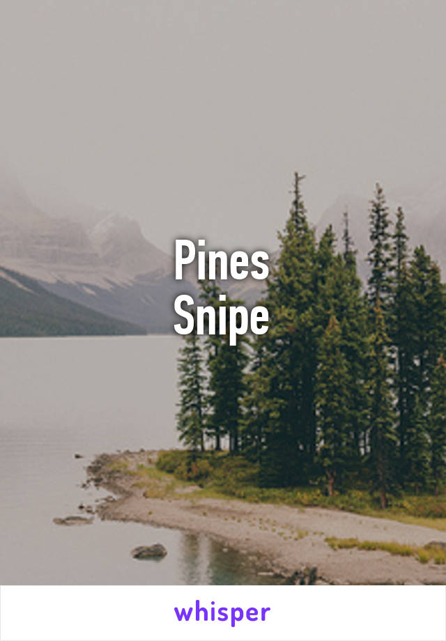 Pines
Snipe
