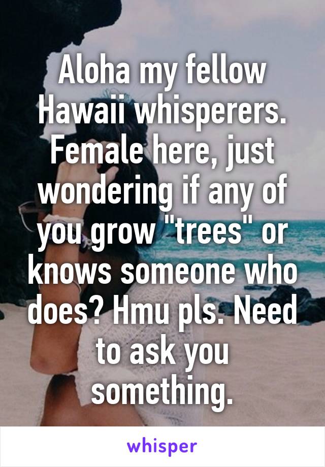 Aloha my fellow Hawaii whisperers. Female here, just wondering if any of you grow "trees" or knows someone who does? Hmu pls. Need to ask you something.