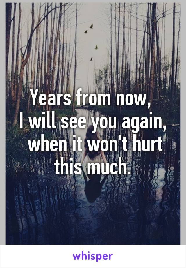 Years from now, 
I will see you again,
 when it won't hurt this much.