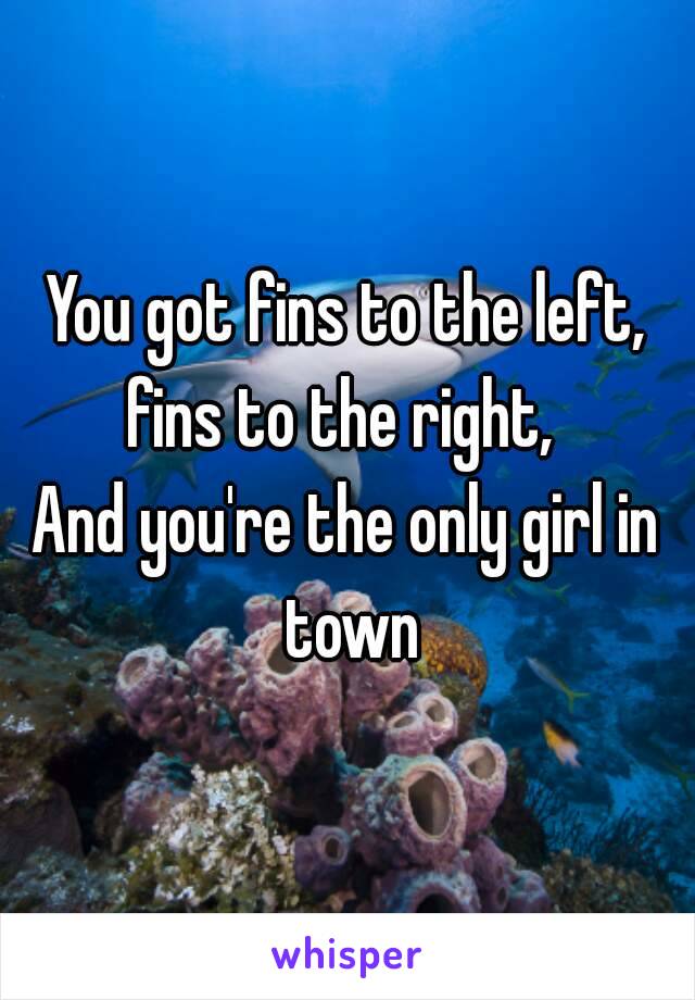 You got fins to the left, fins to the right, 
And you're the only girl in town