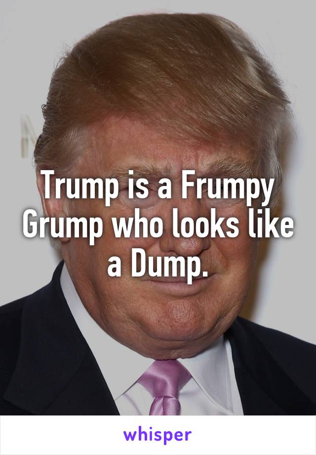 Trump is a Frumpy Grump who looks like a Dump.