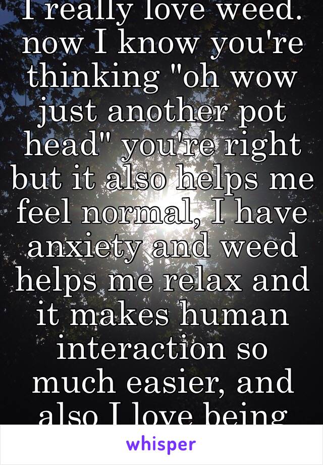 I really love weed. now I know you're thinking "oh wow just another pot head" you're right but it also helps me feel normal, I have anxiety and weed helps me relax and it makes human interaction so much easier, and also I love being high.