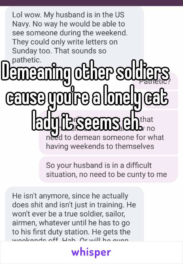 Demeaning other soldiers cause you're a lonely cat lady it seems eh.