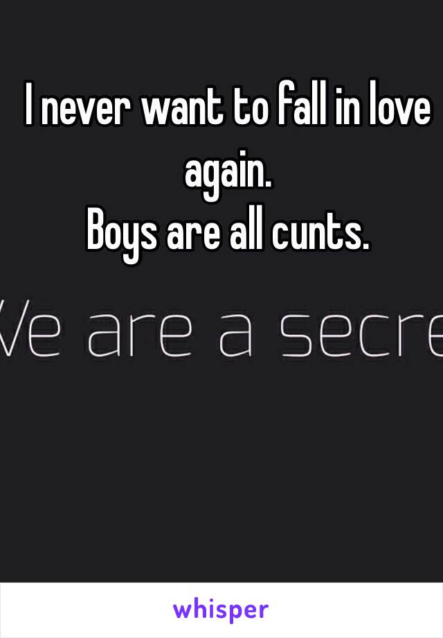 I never want to fall in love again. 
Boys are all cunts. 