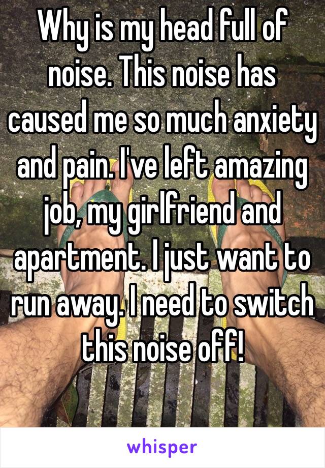 Why is my head full of noise. This noise has caused me so much anxiety and pain. I've left amazing job, my girlfriend and apartment. I just want to run away. I need to switch this noise off!