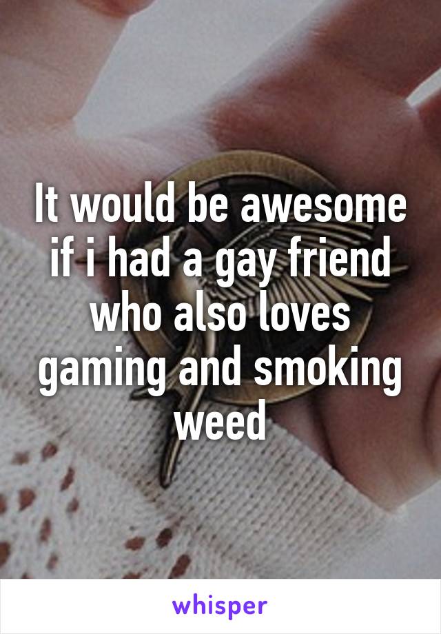 It would be awesome if i had a gay friend who also loves gaming and smoking weed