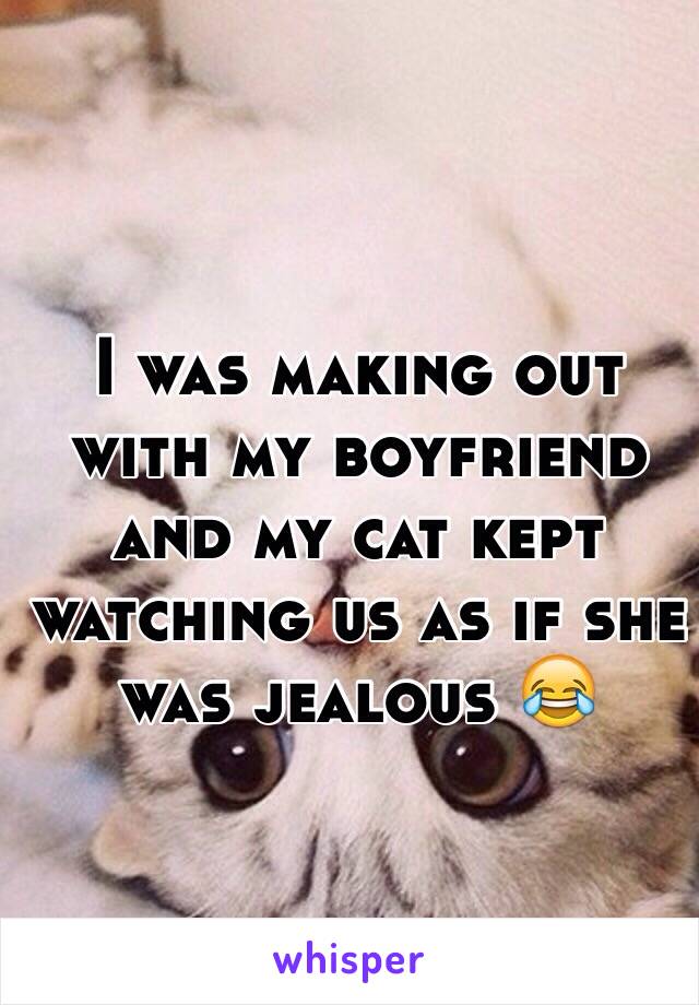 I was making out with my boyfriend and my cat kept watching us as if she was jealous 😂