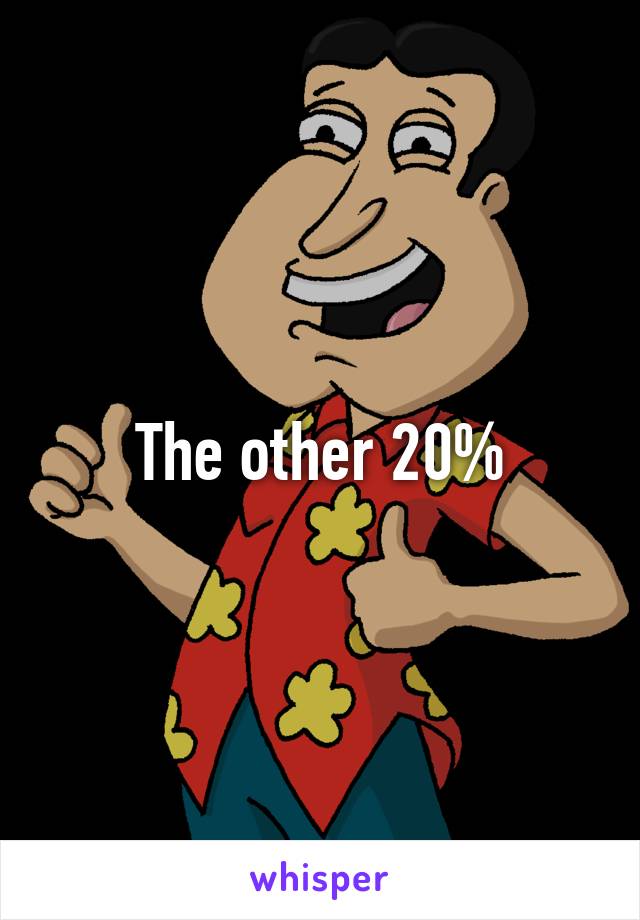 The other 20%