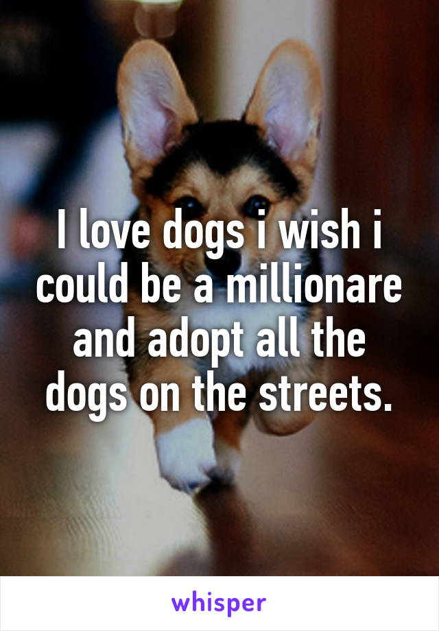 I love dogs i wish i could be a millionare and adopt all the dogs on the streets.