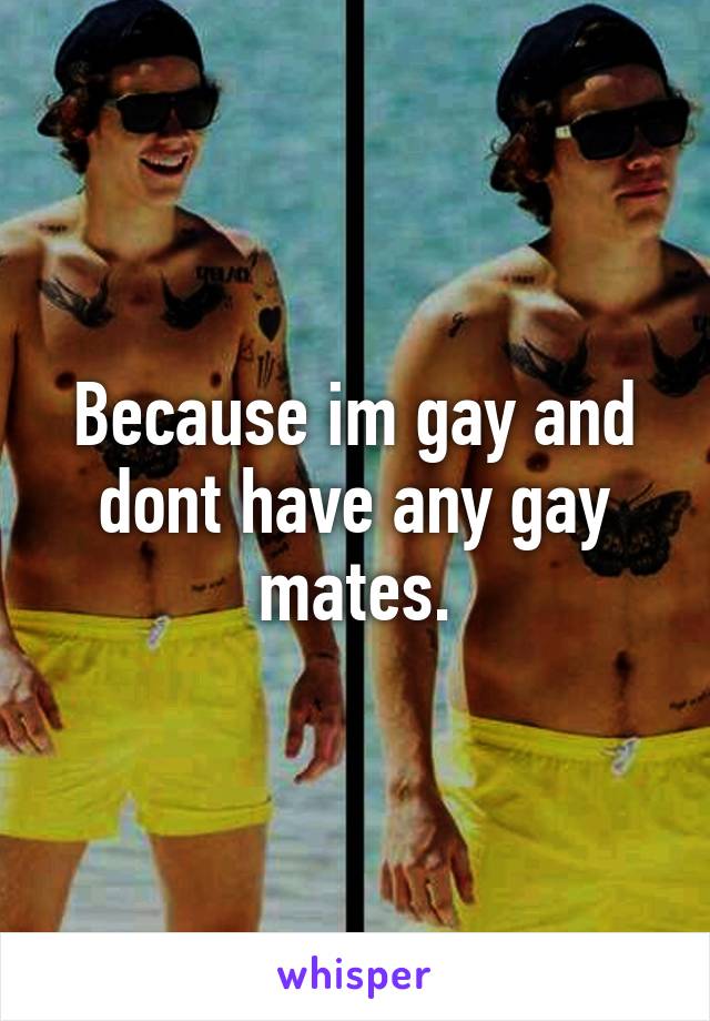 Because im gay and dont have any gay mates.