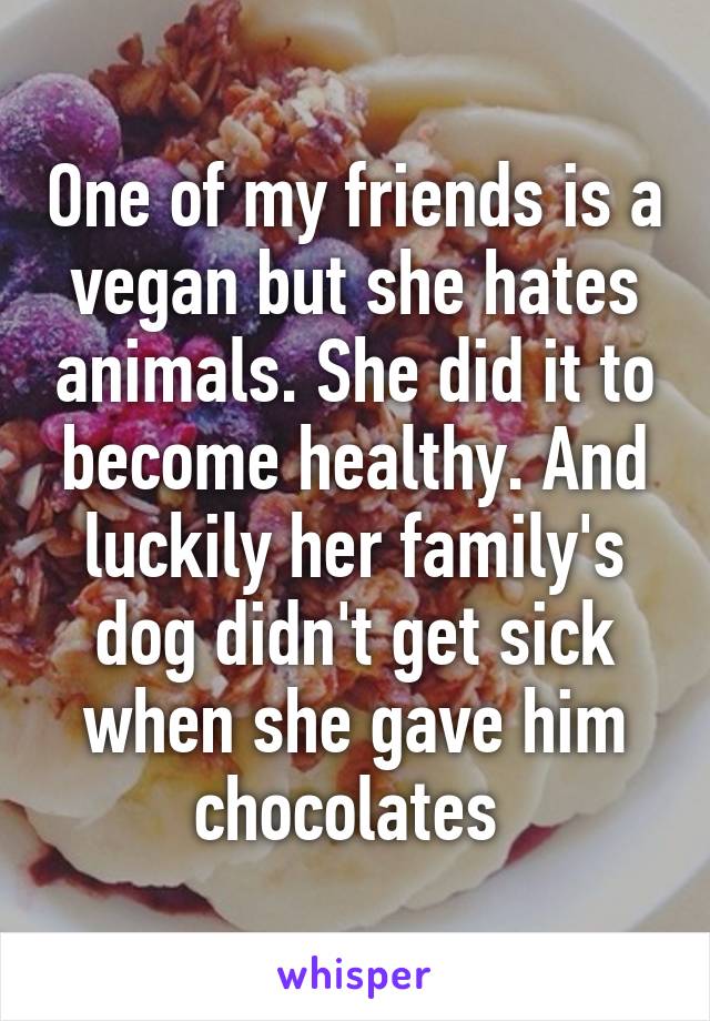 One of my friends is a vegan but she hates animals. She did it to become healthy. And luckily her family's dog didn't get sick when she gave him chocolates 