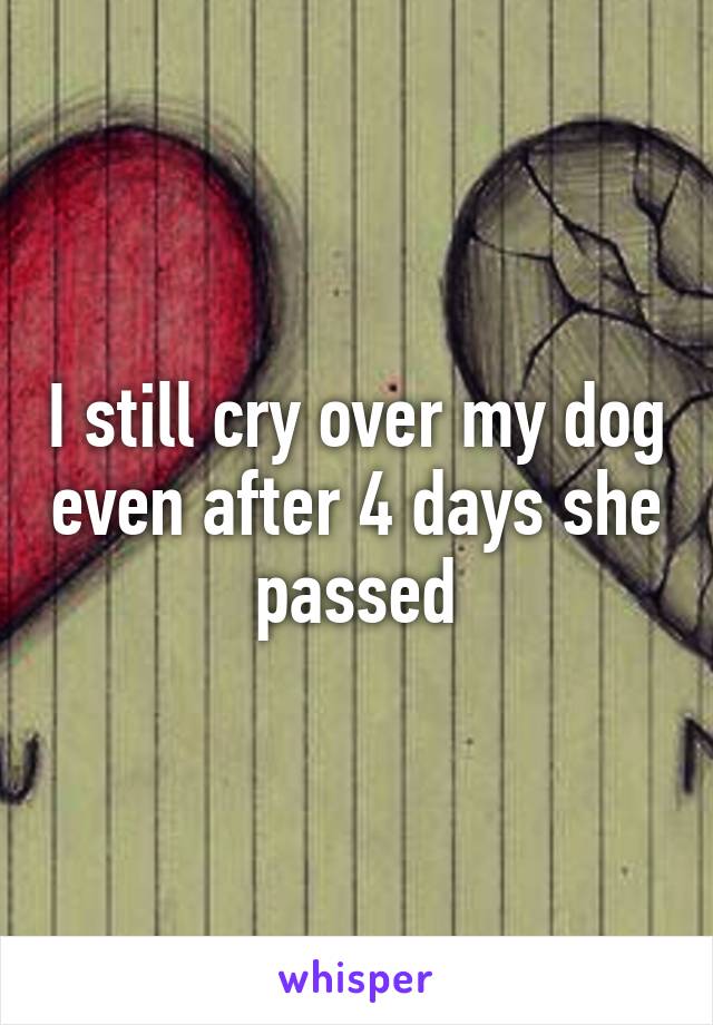 I still cry over my dog even after 4 days she passed